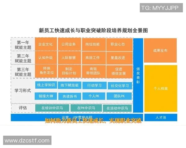 足球明星王世博的成长历程与职业生涯全景解析